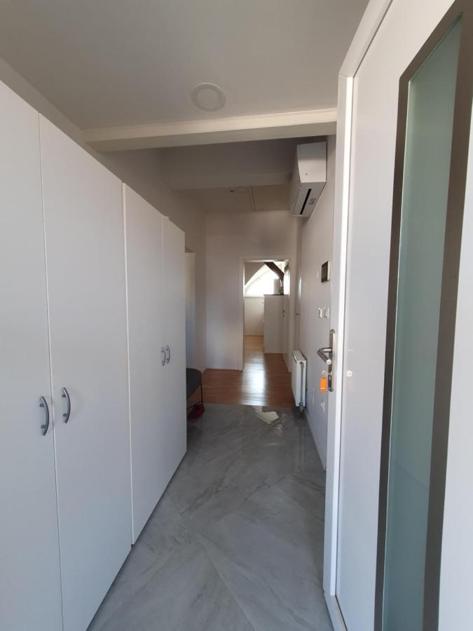 Charming Apartment Mila In Privat House With Free Parking ลูบลิยานา ภายนอก รูปภาพ
