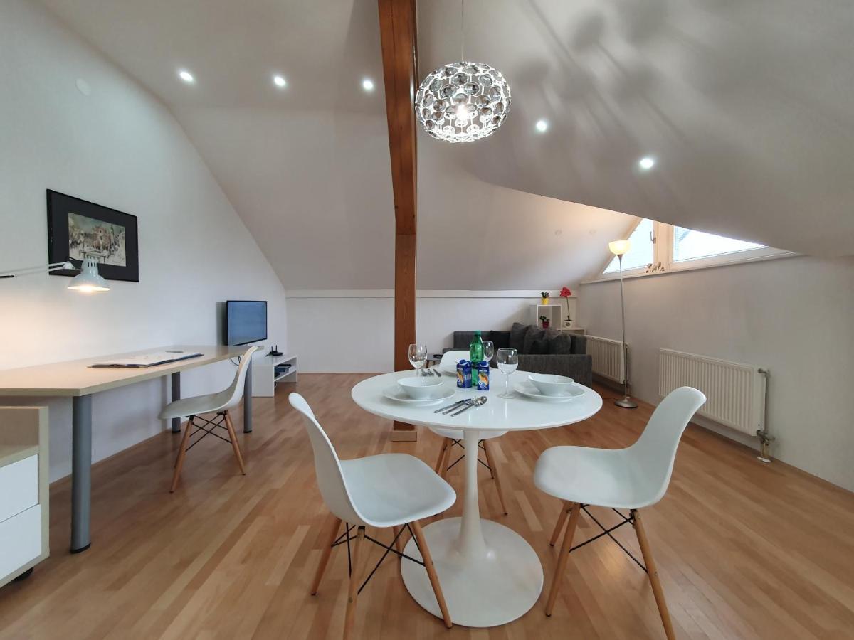 Charming Apartment Mila In Privat House With Free Parking ลูบลิยานา ภายนอก รูปภาพ